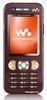 Walkman-Handy Sony Ericsson W890i
