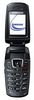 Preistipp 4: Samsung SGH-X300